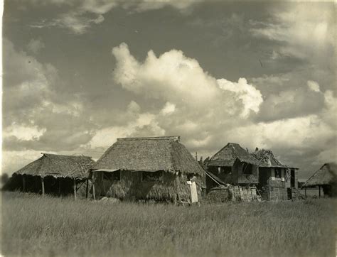 Houses Near A Rice Paddy Field Philippines 1945 The Digital