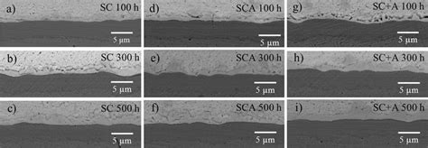 Sem Images Of Interfacial Imcs Layers With Solder Type And Aging Time