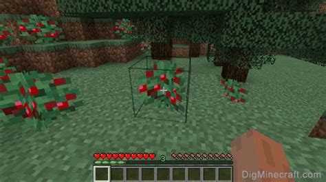 How To Make Sweet Berries In Minecraft