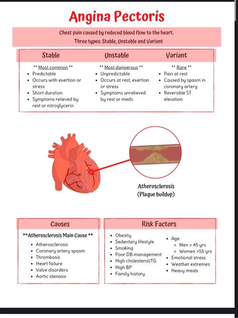 Cardiac Medsurg Bundle Pages Easy Cardiac Medsurg Nursing Notes And