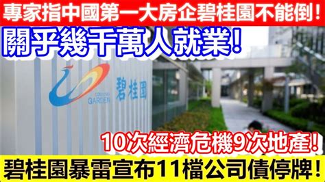 🔴專家指中國第一大房企碧桂園不能倒！關乎幾千萬人就業！碧桂園暴雷宣布11檔公司債停牌！10次經濟危機9次地產！｜cc字幕｜podcast｜日更頻道 Youtube