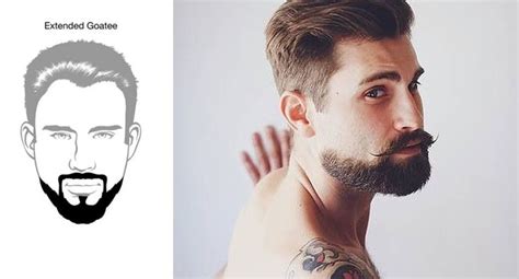 Tipos de barba según la forma del rostro Tipos de barba Estilos