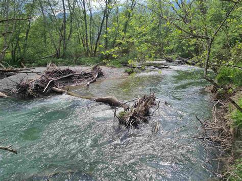 La réserve naturelle du bout du lac dAnnecy La Yaute fr