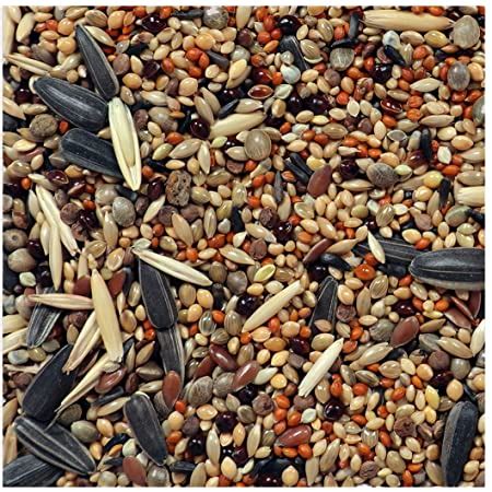 Bird Seeds Mix, Packaging Type : Loose 20 kg Bags at Best Price in ...