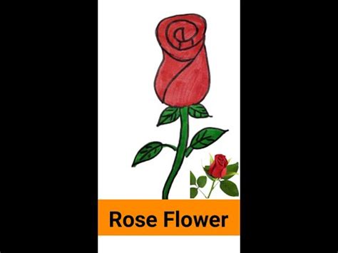 Rose Flower Drawing | Easy Drawing | Rose Drawing | Easy Rose Drawing ...