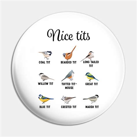 Nice Tits Titmouse Great Tit Bird Watching Gift Bird Pin Teepublic