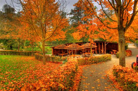 Fondos de Pantalla Estaciones del año Otoño Alemania Naturaleza