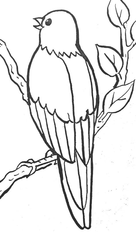 119 dessins de coloriage oiseau à imprimer sur LaGuerche Page 8