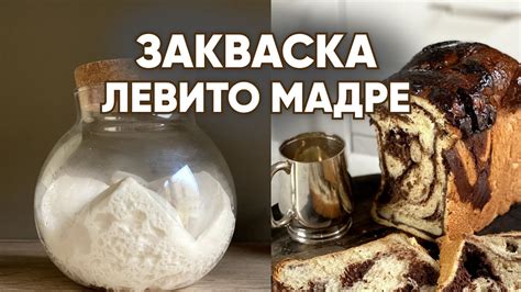 Как подготовить дрожжевую воду для закваски Левито Мадре? - YouTube