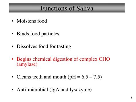 Ppt Chapter 23 Digestive System Lectures 9 And 10 Part 2 Upper