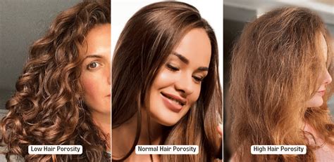 How To Grow High Porosity Hair In 12 Steps Equi Botanics