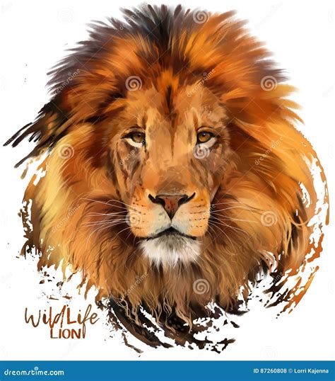 Lion Watercolor Painter Stock Photo Cartoondealer