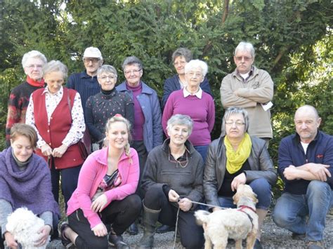 Chenil Chien Marche En Famenne Garde De Chiens