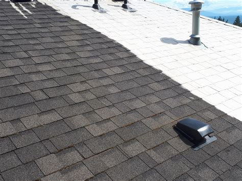 Roof Moss Removal Nanaimo Roof Cleaning Demossing Sweeping Services