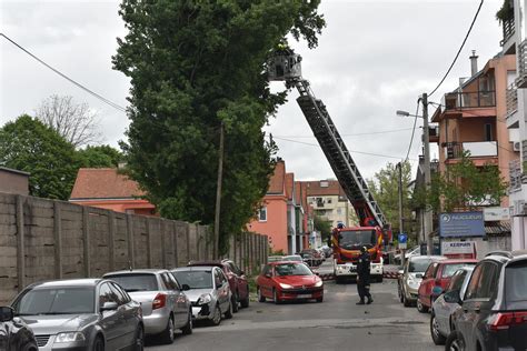 Galerija Jak Vjetar Otrgnuo Je Nekoliko Grana S Jablana U Zagrebu