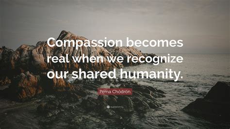 Pema Chödrön Quote “compassion Becomes Real When We Recognize Our Shared Humanity ” 10