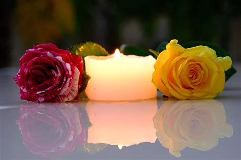 Roses Candle Reflection - Free photo on Pixabay - Pixabay