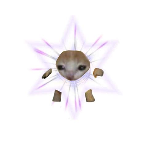 Pin by линни on башкирское мороженое джага джага in 2022 | Cute cat ...
