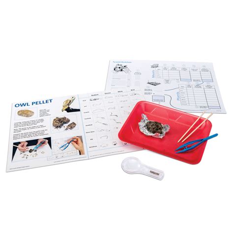 Carolina Kits 3D® Flex Biology Teacher Lab Program | Carolina ...