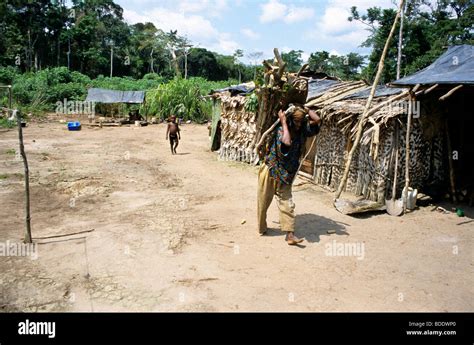 Femme Transportant Du Bois Pour La Soirée De La Forêt Dans Un Village