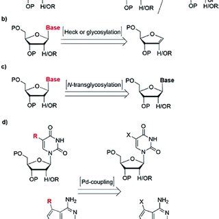 A Chemical Structures Of Base Modified Nucleoside Triphosphates Used