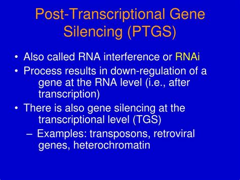 Ppt Post Transcriptional Gene Silencing Ptgs Powerpoint Presentation Id 5289037