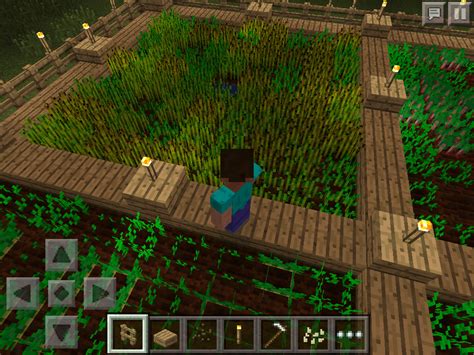 How To Grow Carrot In Minecraft Hutomo