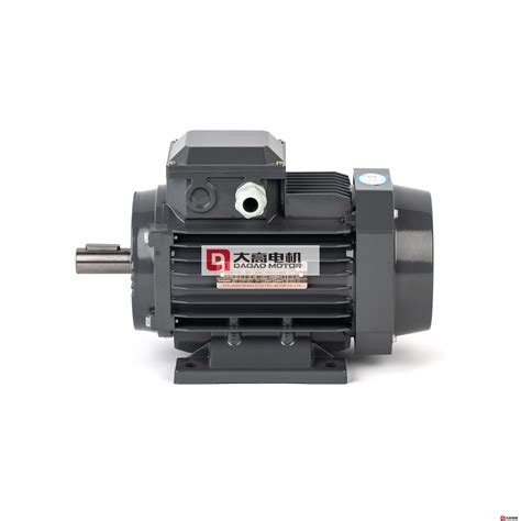 Ye2 Series Dasu High Efficiency Three Phase Asynchronous Motor Power