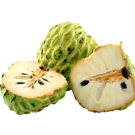 Custard Apple Vector Fruit Art Tropical Graphics Png Image