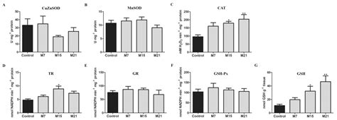 Antioxidants Free Full Text The Unity Of Redox And Structural