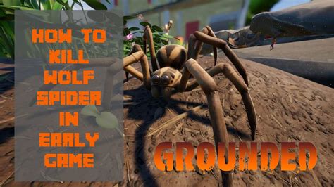 How To Kill A Wolf Spider Grounded