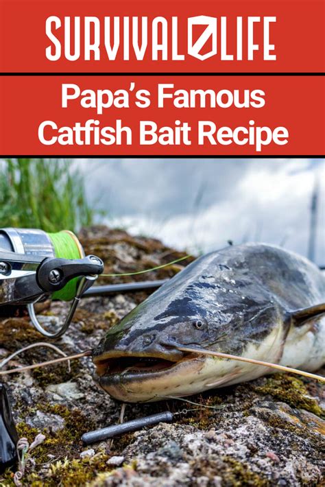 Papa's Famous Catfish Bait Recipe | Catfish Bait | Survival Life ...