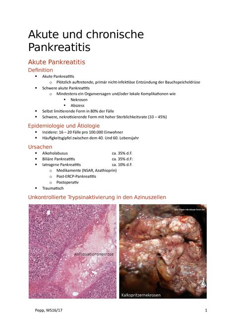 Akute Und Chronische Pankreatitis Akute Und Chronische Pankreatitis