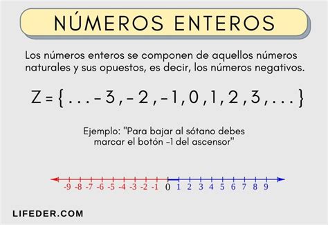 Clasificacion De Numeros Enteros Gufa Hot Sex Picture