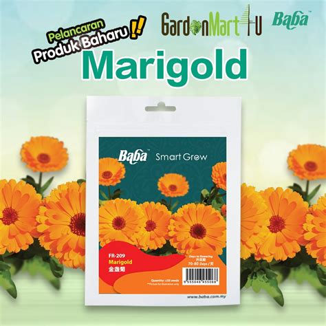 Baba Smart Grow Seeds FR 209 Marigold Flower Seed Bunga Marigold Biji