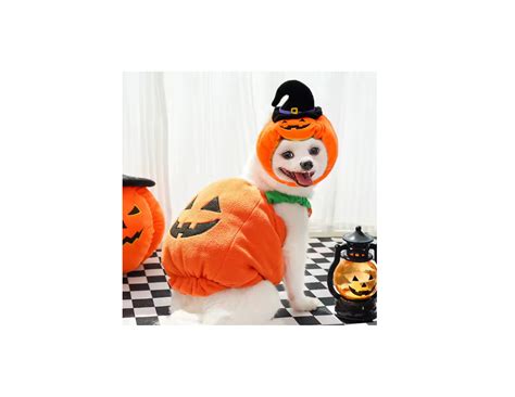 large dog pumpkin costume