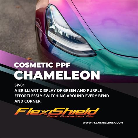 Cosmetic PPF Archives | FlexiShieldUSA Paint Protection Film