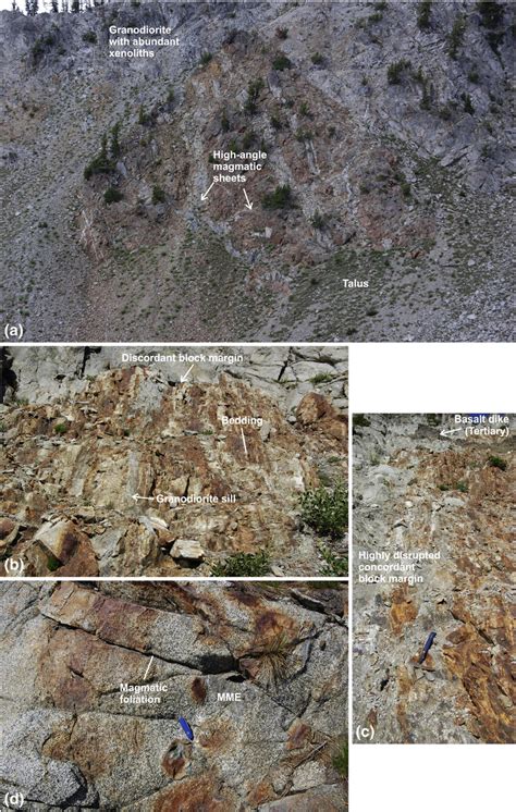 Xenoliths in the Wallowa batholith. (a) A large xenolith (tens of ...