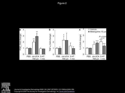 Cis Urocanic Acid Stimulates Primary Human Keratinocytes Independently