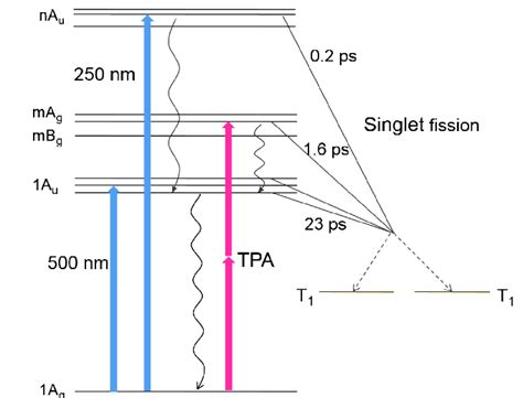 Schematic Of The Singlet Fission Induced By One And Two Photon