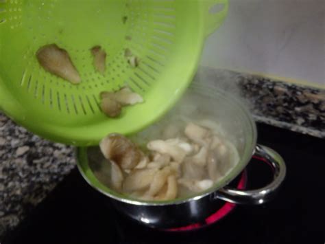 Osukaa Is Cooking Sopa De Cebolla Puerro Setas Flor De Girgola Y