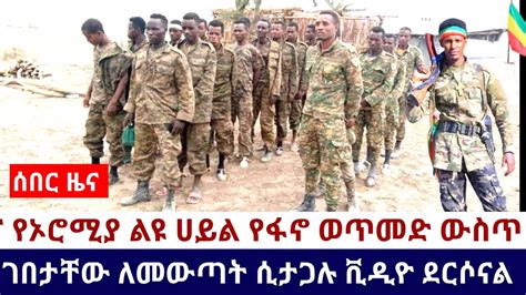 Ethiopia 🛑አሁን የደረሰን አስደሳች ሰበር ዜና የኦሮሚያ ልዩ ሀይል የፋኖ ወጥመድ ውስጥ ገበታቸው ለመውጣት ሲታጋሉ ቪዲዮ ደርሶናል Youtube