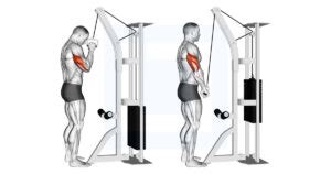 Cable One Arm Tricep Pushdown Guide Benefits And Form