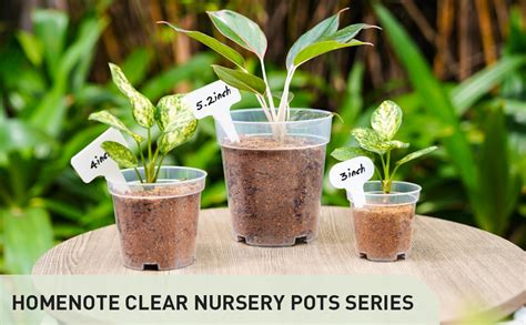 Homenote Clear Nursery Pots 60 Packs 3 Inches Seedling