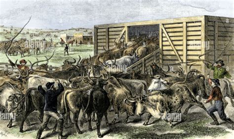 TEXAS CATTLE RANCHES – A HISTORY - Ranch Connection