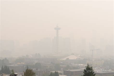 Seattle Parks Closed Due To Poor Air Conditions Statewide Air Quality