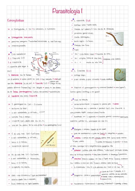 Solution Parasitologia A Parte Studypool