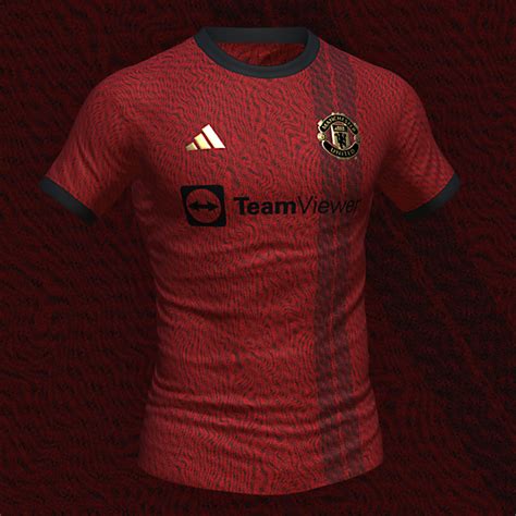 Manchester United Home Concept