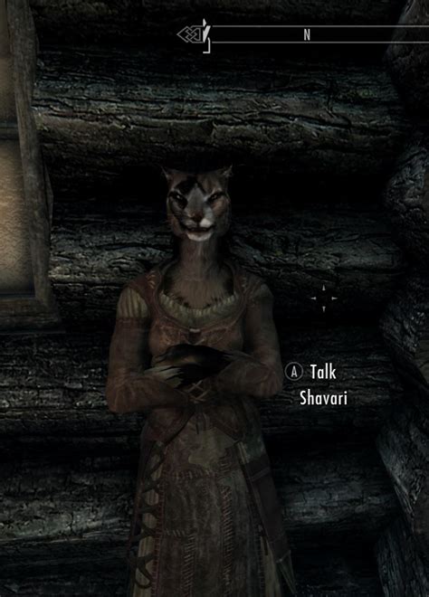 How the heck did a Khajiit get into Riften? I thought they weren’t allowed within the cities ...