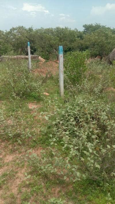 Residential Land Plot For Sale In Batasingaram Village Hyderabad